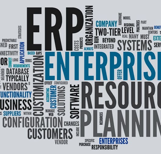 SAP BASIS support case study thumbnail